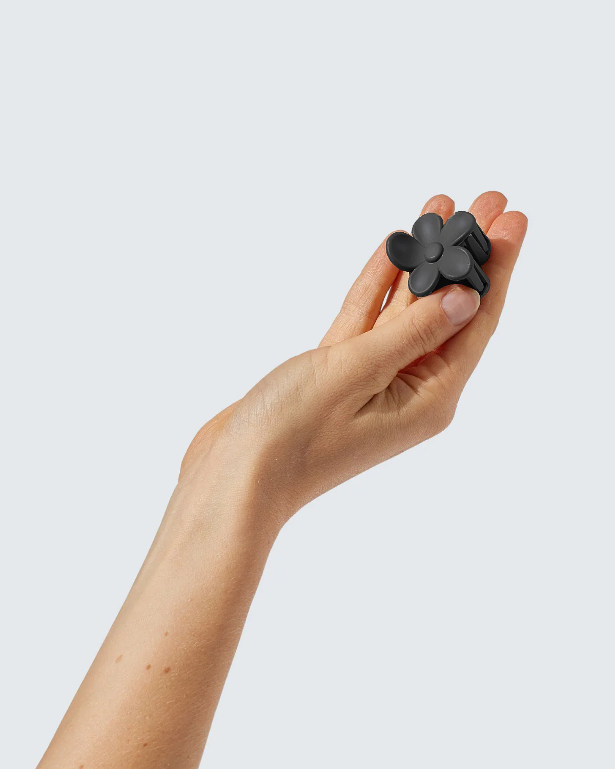 Miniatuur 6